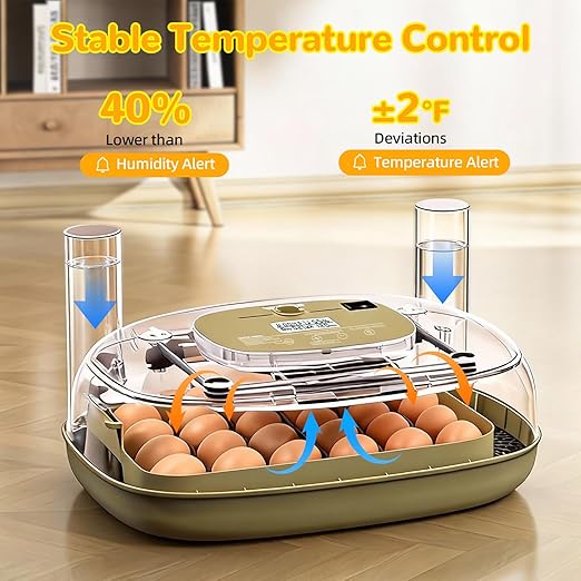24 Egg Incubator with Temperature Control & Humidity Monitoring, Automatic Egg Turner, Built-in Egg Candler, 360° Clear View for Hatching Chicken, Duck, Quail Eggs - Ideal for Home, Classroom, Farm - Image 4