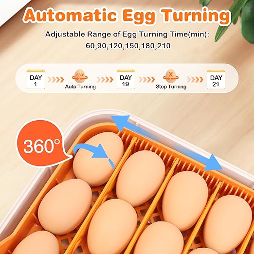 56 Egg Incubator for Hatching Chicken, Egg Incubator with Automatic Egg Turning and Humidity Temperature Control, Egg Candler, Chicken Incubator for Ducks/Quail/Goose Farm House lab Class - Image 2
