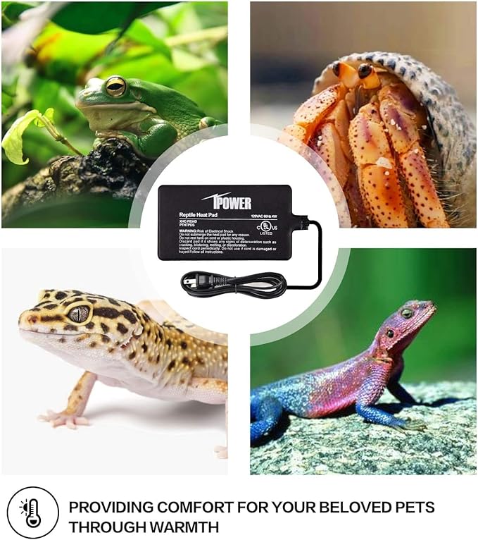 iPower 4"x7" Reptile Heat Mat Under Tank Terrarium Heater Warmer Heating Pad, Digital Thermometer and Hygrometer with Temperature and Humidity Probe for Amphibian Pet and Small Animals - Image 6