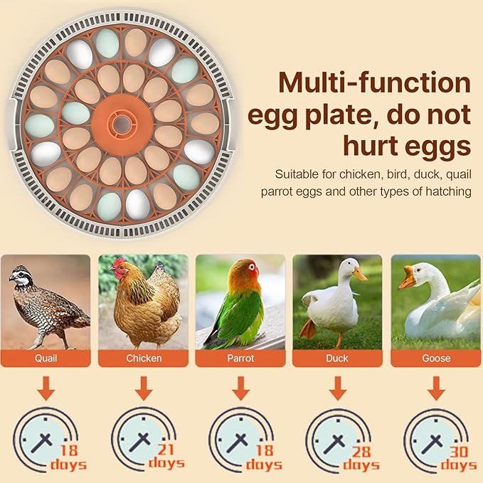 30 Eggs Incubator with Automatic Egg Turning with External Injection Water Bottle - Household Small Poultry Hatching Machine with Egg Candler Light for Chicken, Ducks, Pigeons,Bird (US Plug) - Image 3