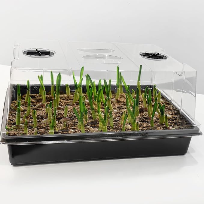 4-Pack Seed Starter Trays with 5'' Tall Humidity Domes – Reusable Plant Germination Kit for Microgreens, Herbs & Indoor Gardening | Clear Vented Lids, Fast Seedling Growth & Durable Design - Image 7