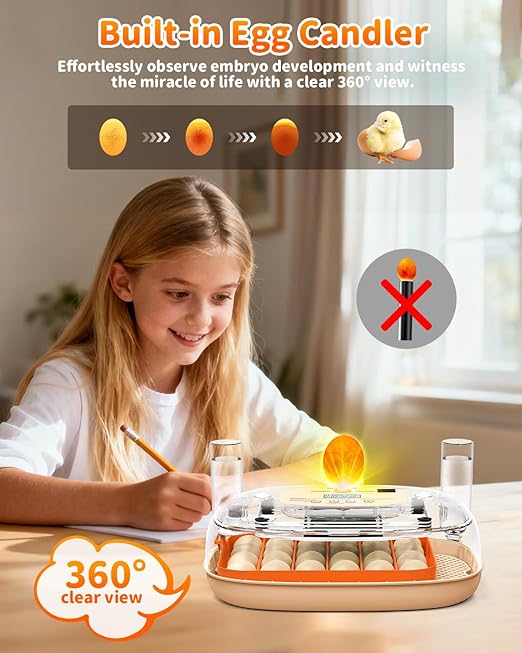 Egg Incubator for 24 Chicken Eggs with Automatic Turner, Digital Temperature Control & Humidity Display, Candler, Poultry Hatcher for Chicken, Duck, Quail, Birds (Orange) - Image 6