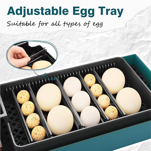 Incubator for Hatching Chicks, 10 Eggs Incubators with Automatic Egg Turning, Temperature and Humidity Control, Egg Candler, Hatching Incubator for Small Poultry, Chicken, Ducks (10 Eggs) - Image 6