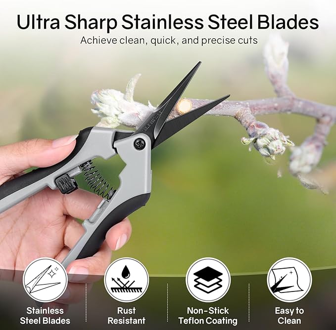 6.5" Ultra Sharp Pruning Shears - Professional Garden Scissors with Straight Stainless Steel Blades, Ergonomic Handle, Rust Resistant, Safety Lock, Trimming Scissors for Plants in Grow Tents, 2-Pack - Image 3