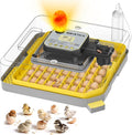 Incubator for Hatching Eggs-48 Egg Capacity, 2026 Newly Upraded Auto Egg Turner & Auto Precision Humidity Control System, 360° Clear Viewing for Chicken, Duck and Quail Eggs (Yellow) by IBKINXX