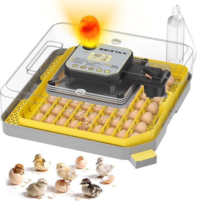 Incubator for Hatching Eggs-48 Egg Capacity, 2026 Newly Upraded Auto Egg Turner & Auto Precision Humidity Control System, 360° Clear Viewing for Chicken, Duck and Quail Eggs (Yellow) by IBKINXX