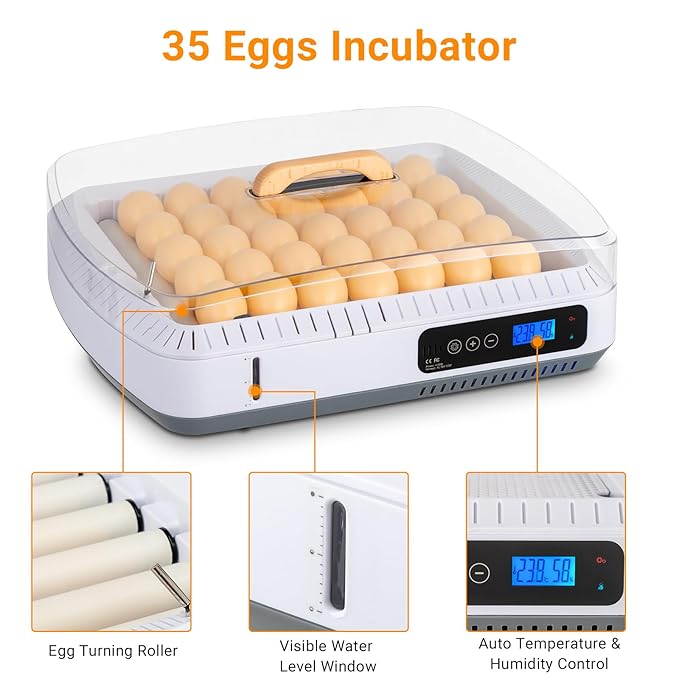 Winado 35 Chicken Incubator for Hatching Eggs, Egg Incubators w/Visual Water Level & Automatic Egg Turning & Temperature Humidity Control & Egg Candler - Image 5