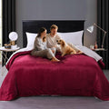 Waterproof King Size Blankets for Bed 80'' x 90'', 3 Layer Lightweight and Stain Resistant Blankets Waterproof Sherpa Bed Cover Spill-Proof Dog Splash Throw for Couch, Sofa Protect, Camping(Red) by GBYcLywBathroomDecor