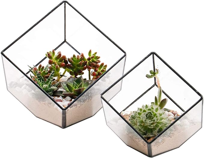 ELEGANTLIFE Glass Geometric Plant Terrarium Container, Flower Pot Tabletop Planter Decor Glass Display Box Succulent & Air Planter for Home Garden Office Decoration(Black Cubic Set of 2) by ELEGANTLIFE