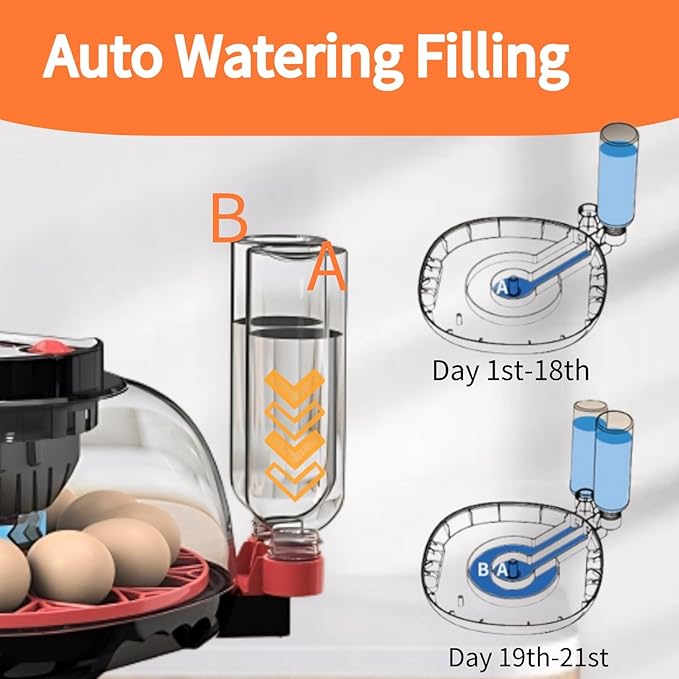 Egg Incubators for Hatching Eggs, Incubator for 12 Eggs Automatic Turning with Temperature Control+Humidity Display+Automatic Water Filling - Home Incubator for Quail Chicken Duck Pigeon - Image 4