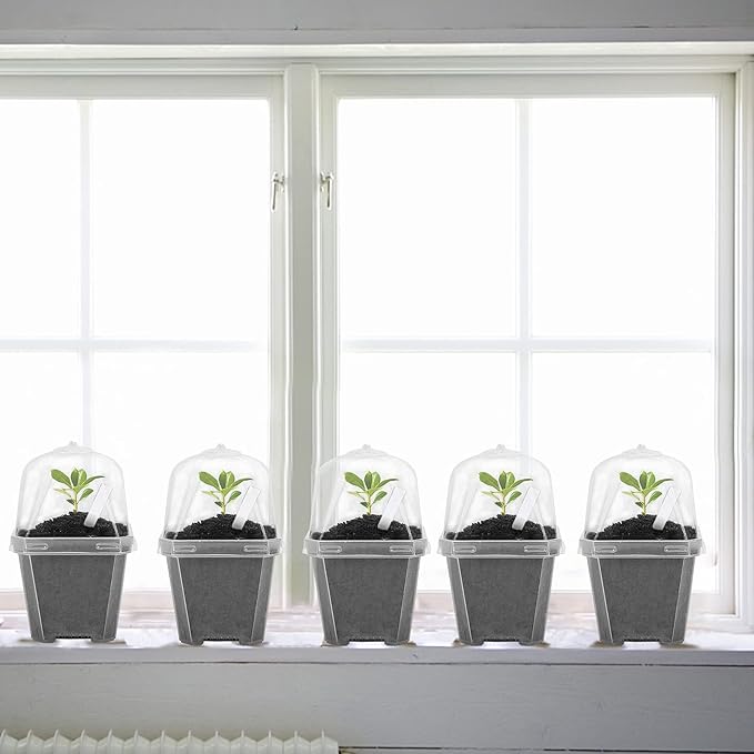 EBaokuup 10Pcs 4" Clear Plant Nursery Pots with Humidity Dome, Plastic Gardening Pot Plant Container, Seed Starting Pot with Drain Holes for Seedlings Vegetables Succulents Cuttings - Image 4