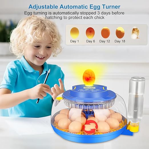 Automatic Egg Incubator with Auto-Turning & Humidity Control, 18 Eggs Capacity with Dual Egg Trays - Hatcher for Chicken, Duck, Quail Eggs, Huevos, Poultry Breeding Equipment - Image 5