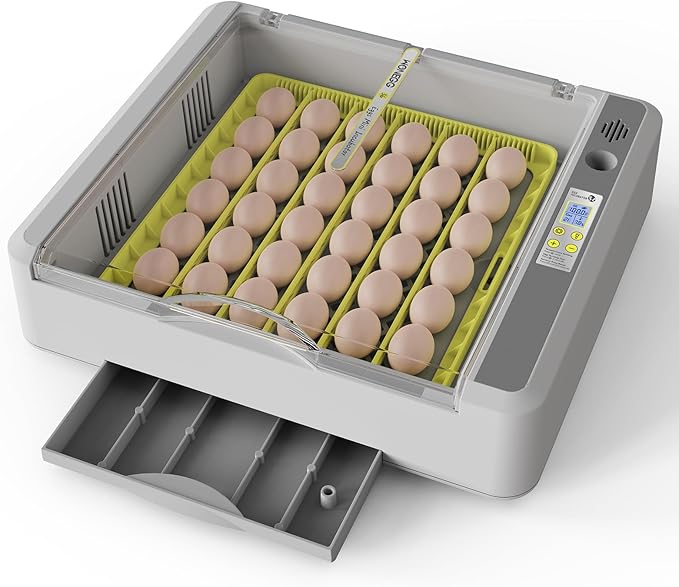 Egg Incubator for Hatching Chicks, 36 Eggs Automatic Turner with Temperature & Humidity Control, Multifunctional Ultra-Clear Panoramic View with Hatch Days & Egg Candler for Chicken, Duck, Goose, Bird by SENXINGYAN