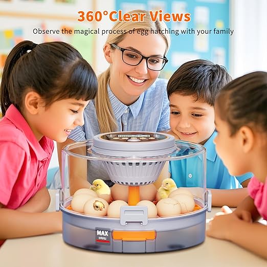 12 Egg Incubators for Hatching Eggs with Automatic Egg Turning & Humidity Control Intelligent Temp Eggs Candler for Chicken Quail Duck etc. Eggs, Suit for Beginner Backyard Hobbyist Students Education - Image 4