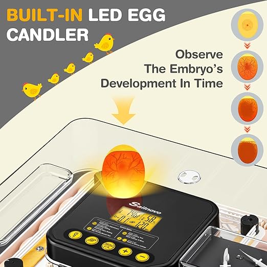 Sailnovo 48 Egg Incubator for Hatching Eggs with Auto Egg Turning, Precision Temp & Humidity Control, 360°Viewing, Egg Candler, Incubator for Chicken Eggs/Duck/Quail,Ideal for Farm/School/Lab,Gray - Image 6