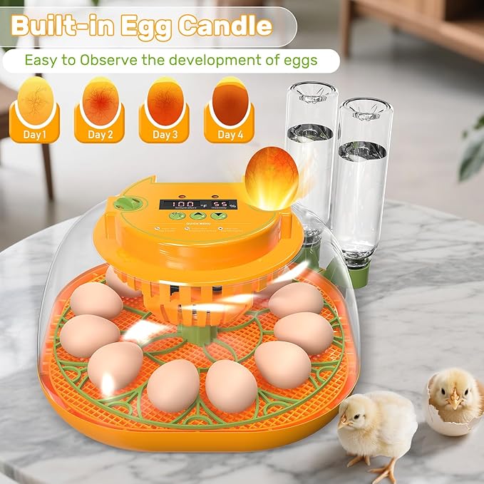 Incubators for Hatching Eggs, 12 Egg Incubator with Automatic Egg Turning and Humidity Control, Egg Candler, Auto Water Replenishment, Air Vent, for Hatching Chicken Duck Quail Goose Eggs - Image 4