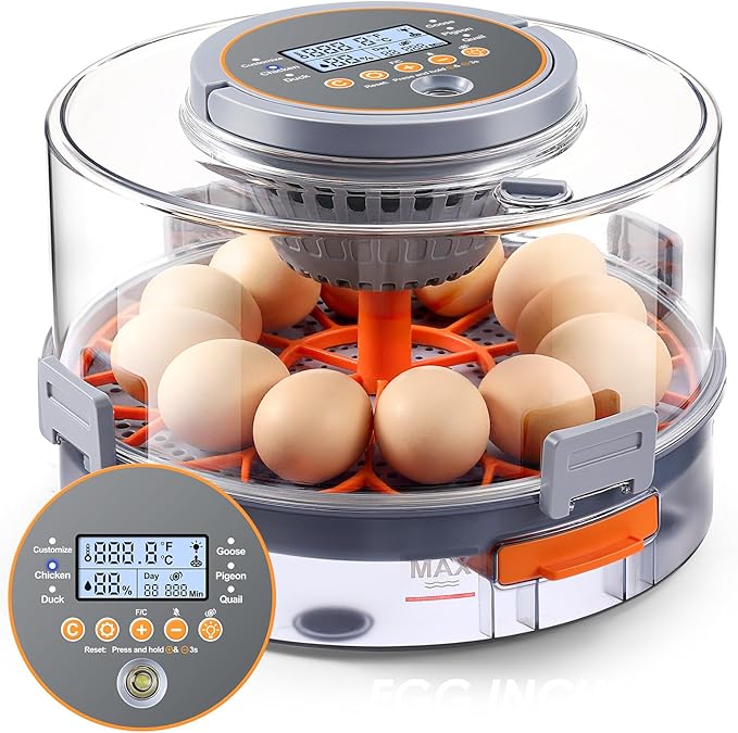Chicken Egg Incubator 12-40 Eggs - Automatic 760° Egg Turner with Digital Display, Auto Temperature Humidity Control for Hatching Chicken Duck Quail Eggs, High Hatch Rate Poultry Incubator by ONEAMG