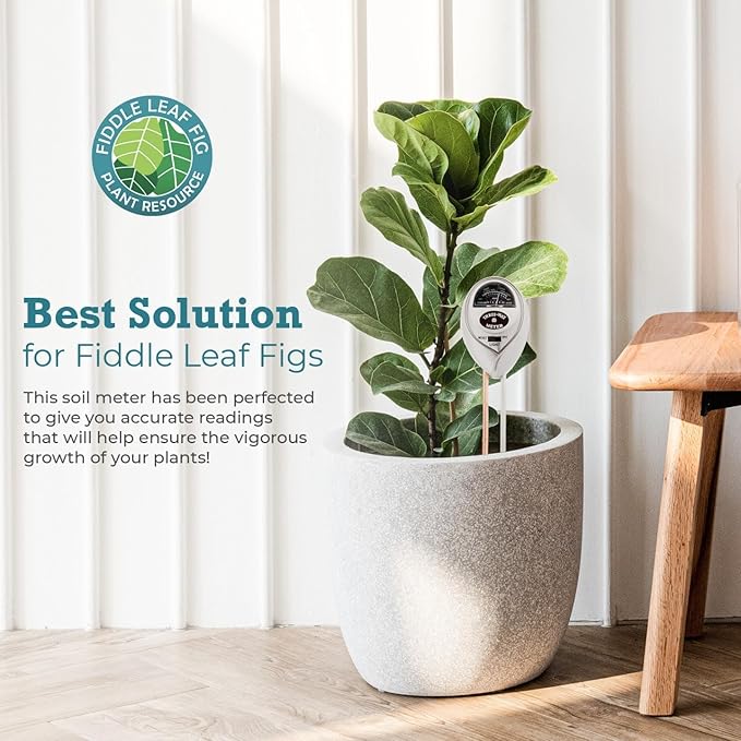 Houseplant Resource Center Fiddle Leaf Fig 3-in-1 Soil Moisture Meter for Plants – Best Indoor Plant Water Meter for Potted Houseplants - Light & Moisture Sensor Probe for Optimal Growth - Image 5