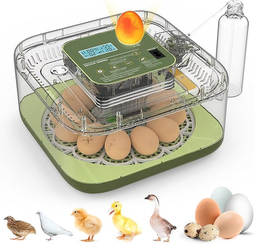 12 Egg Incubator with Automatic Turning, Temperature and Humidity Control, LED Egg Candler, and Auto Water Addition, for Hatching Chicken, Goose, Duck, Quail, Pigeon, and Turkey Eggs by howooiua