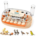 Egg Incubator for 24 Chicken Eggs with Automatic Turner, Digital Temperature Control & Humidity Display, Candler, Poultry Hatcher for Chicken, Duck, Quail, Birds (Orange) by Sindarhor