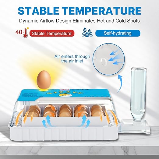 Incubators for Hatching Eggs 15-35 Eggs Incubator with Automatic Egg Turning and ℉Temperature Display LED Candler Poultry Incubator for Hatching Chicken Duck and Quail Incubator (Blue) - Image 4