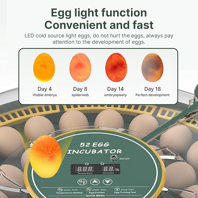 Automatic Egg Incubator for 52 Eggs with Egg Turner & Candler Light - Poultry Hatcher for Chicken Duck Pigeon Bird, External Water Bottle, 60W Household Hatching Machine (19.68 x 3.54 Inch) - Image 3