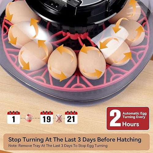 12 Egg Incubators for Hatching Eggs, Chicken Egg Incubator with Automatic Egg Turning and Temperature Humidity Control, 360° Clear View Lid or Home, Farm, Classroom, Hatching Chicken, Duck,Quail,Goose - Image 2