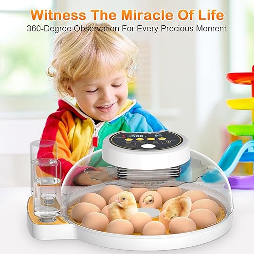 18 Egg Incubator with Automatic Egg Turning and Humidity Control, Incubators for Hatching Eggs, Incubator for Farm Science Classroom Home Chicken Duck - Image 6