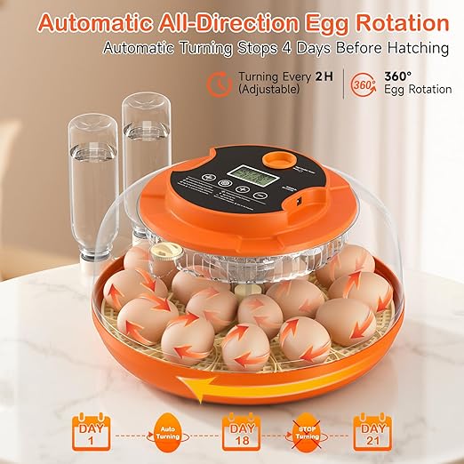 18 Egg Incubator for Chicken Eggs, Automatic Egg Turning and Humidity Control Incubator for Hatching Eggs Chicken Duck Quail Goose Peacock Turkey for Home Classroom Lab - Image 5
