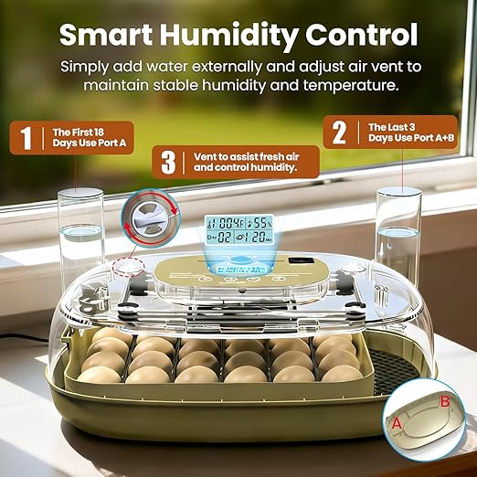 Incubators for Hatching Eggs,24 Eggs Capacity with Automatic Turning, Accurate Temp & Humidity Control, Egg Candler, Air Vent, and 360° Viewing for Chicken, Duck, Quail & Goose Eggs - Image 3