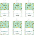 6 Pack Moisture Absorber Hanging Bags, Fragrance Free Humidity Packs, Hanging Closet Dehumidifier Bags (Avocado) by NICOLEKAY