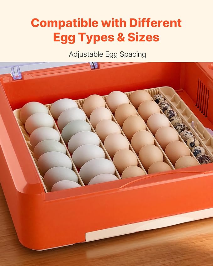 VEVOR 36 Egg Incubator, Automatic Egg Turner with LED Candler & Water Tray, Temperature & Humidity Control, 360° View Clear Window, Poultry Eggs Incubators for Hatching Chicks Ducks Goose Quails - Image 6