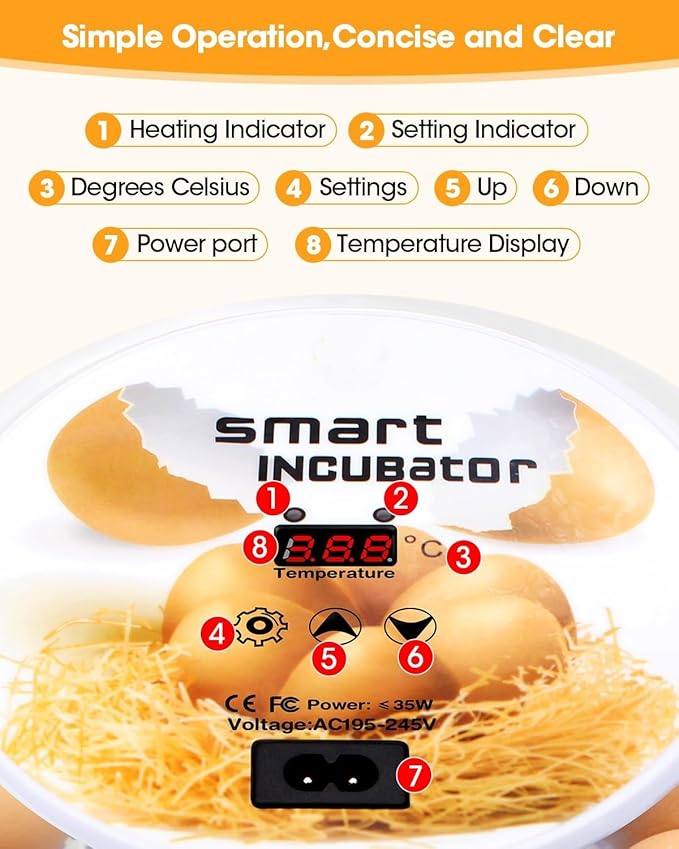 Incubators for Hatching Eggs, Chicken Waterer Cups, Automatic Egg Turner Holds 12 Eggs, Smart Incubator 360° Clear Window with Temperature Display Egg Candler for Small Poultry Chickens Ducks Quails - Image 6