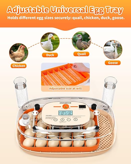Egg Incubator for 24 Chicken Eggs with Automatic Turner, Digital Temperature Control & Humidity Display, Candler, Poultry Hatcher for Chicken, Duck, Quail, Birds (Orange) - Image 7