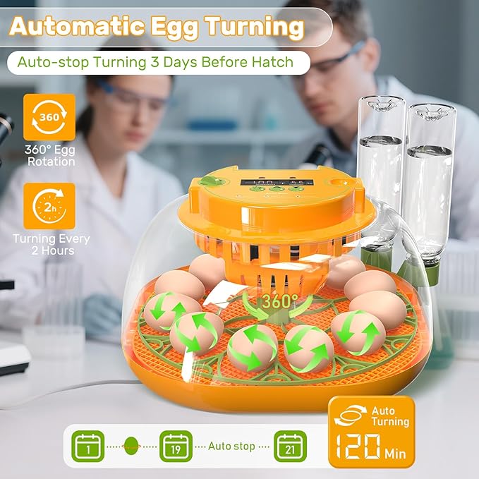 Incubators for Hatching Eggs, 12 Egg Incubator with Automatic Egg Turning and Humidity Control, Egg Candler, Auto Water Replenishment, Air Vent, for Hatching Chicken Duck Quail Goose Eggs - Image 5