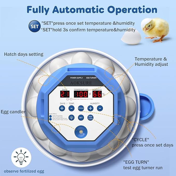 Incubator for Hatching Eggs12-24 Egg Capacity, Automatic Egg Turner, Temperature & Humidity Control, 360° Viewing for Chicken, Duck and Quail Eggs, Birds (E12 New) - Image 2