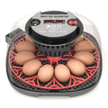12-24 Egg Incubator with Humidity Display, Egg Candler, Automatic Egg Turner, for Hatching Chickens Duck Quail Parrot by Meuiosd