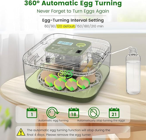 12 Egg Incubator with Automatic Turning, Auto Water Refill & Temp/Humidity Control, Plus Hatching Guide, Digital Hatcher for Chicken, Duck, Quail, Pigeon Eggs & More - Image 2