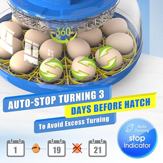 incubators for hatching eggs，18 Egg Incubator,egg incubator with automatic egg turning and humidity control，incubator for chicken eggs，chicken incubators for hatching eggs，quail egg incubator - Image 3