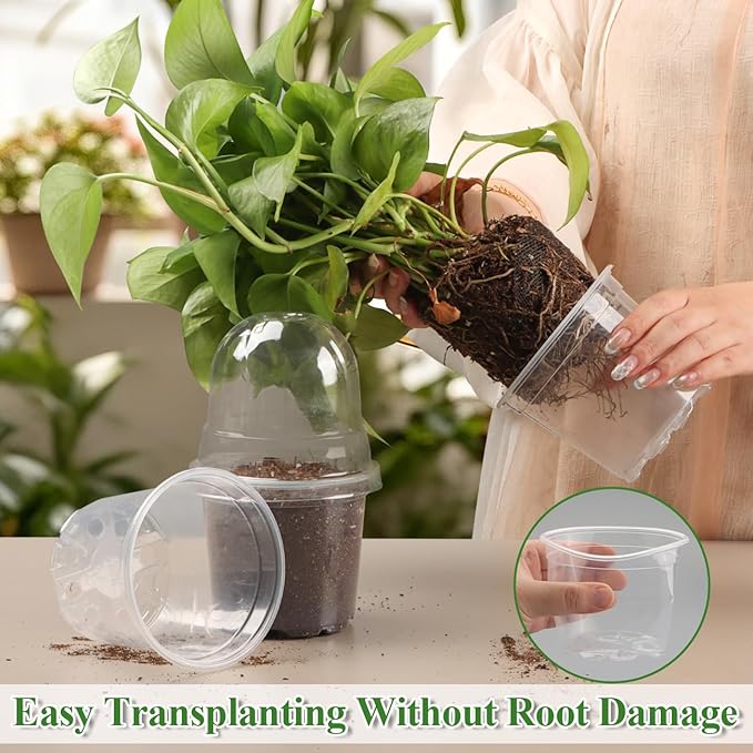 60 Pack Clear Nursery Pots with Humidity Domes, 4 Inch Plastic Plant Pots with Drainage Holes for Seedlings, Transparent Seed Starting Pot for Cuttings Propagation Indoor Gardening - Image 4