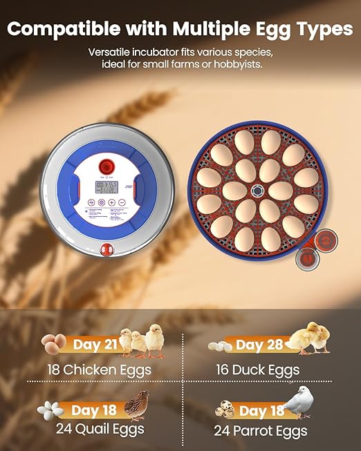 Incubators for Hatching Eggs, 18 Eggs Incubators with Egg Candler, Automatic Egg Turner, Temperature & Humidity Control, Full Viewing for Chicken, Duck, Quail, Goose, Parrot and Pigeon - Image 7