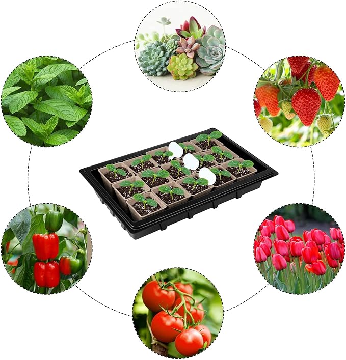 Aodaer 193 Pack Seed Starter Kit Including Seed Starter Tray Peat Pots for Seedlings with Plant Labels, Tool, Plastic Growing Trays Germination Tray Paper Seedling Cups for Indoor Outdoor Garden - Image 6
