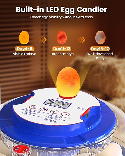 Incubators for Hatching Eggs, 18 Eggs Incubators with Egg Candler, Automatic Egg Turner, Temperature & Humidity Control, Full Viewing for Chicken, Duck, Quail, Goose, Parrot and Pigeon - Image 5