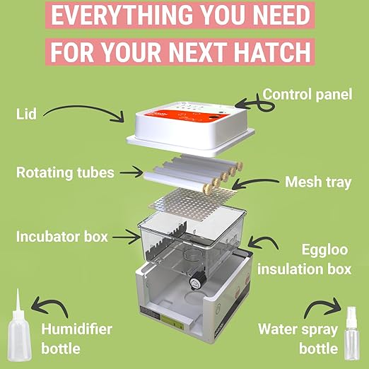 OBI-12 Incubator for Hatching Eggs – 36 Eggs, Easy to Use, Stable Temperature & Humidity Control with Eggloo Insulation - Orange - Image 5
