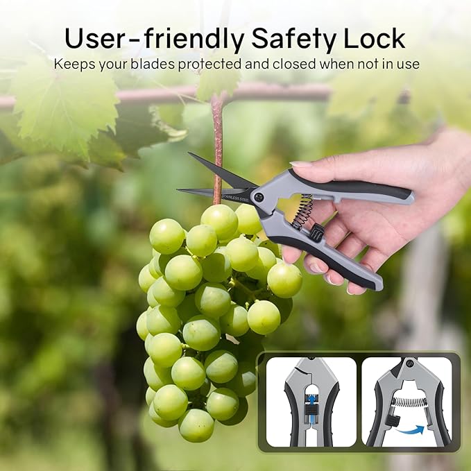 6.5" Ultra Sharp Pruning Shears, 2-Pack Garden Scissors with Stainless Steel Blades, Ergonomic Grip, Rust Resistant, Safety Lock, Trimming Scissors for Plants (1pc Straight & 1pc Curved) - Image 4