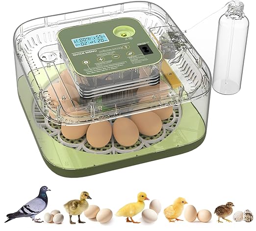 Incubators for Hatching Eggs 12 Egg Digital Egg Incubator Precision Auto Temp Humidity Control 6 Gear Adjustable Auto Turner Auto Stop Turning Hatching Days Display for Chicken Duck Goose Eggs by Unknown