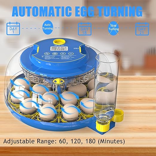 Incubators for Hatching Eggs, 18 Egg Incubator with Automatic Egg Turning and Humidity Control, 360° View Incubadora De Huevos De Gallina, Egg Candler, Incubator for Chicken Eggs, Ducks, Goose, Quail - Image 6