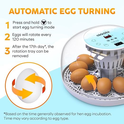 M12 Incubators for Hatching Eggs - Egg Incubator with Automatic Turner and Humidity Control - 12/24 Eggs - Incubadora de Huevos de Gallina - Easy to Use and Clean - 360° View - Blue - Image 5