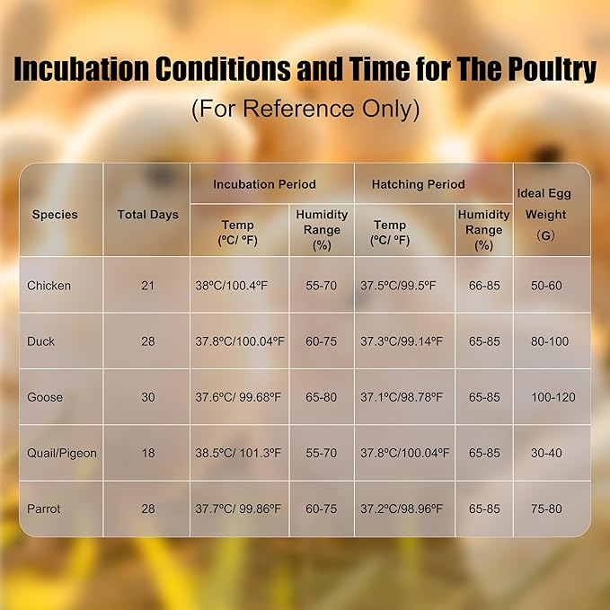 12 Egg Incubator with Temperature Control, Humidity Display, Automatic Egg Turner and Candler, Automatic Water Bottle Refill, for Hatching Chickens/Ducks/Gooses/Quail - Image 7