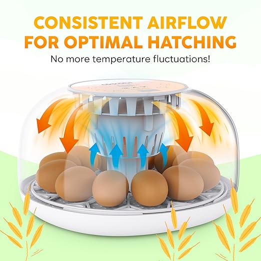 Okkobi M12 Egg Incubator with Automatic Turner and Humidity Control - 12/24 Eggs, 360° View, Easy to Use and Clean - Incubadora de Huevos de Gallina - Made for US - White & Orange - Image 7